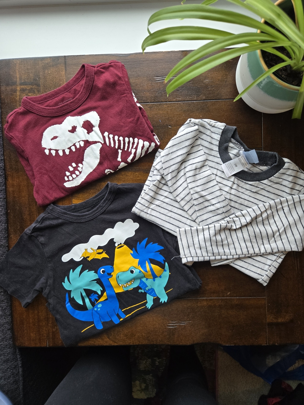 Set Of 3 24M Shirts - Dinosaurs And Stripes